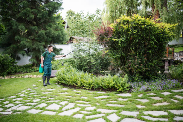 Best Pest Prevention Services  in Oak Grove, KY