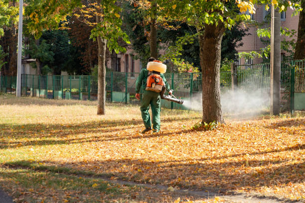 Best Insect Control  in Oak Grove, KY
