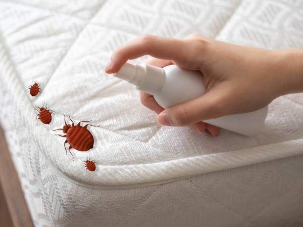 Best Pest Control for Businesses  in Oak Grove, KY