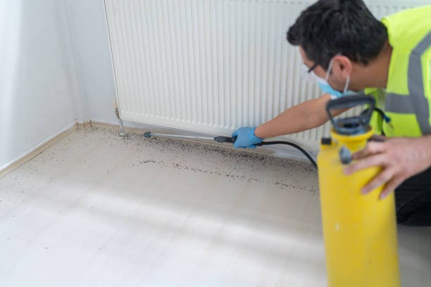 Trusted Oak Grove, KY Pest Control Experts