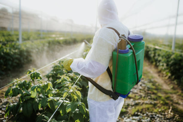 Best Local Pest Control Services  in Oak Grove, KY